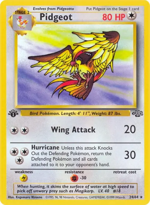Pidgeot (24) card art