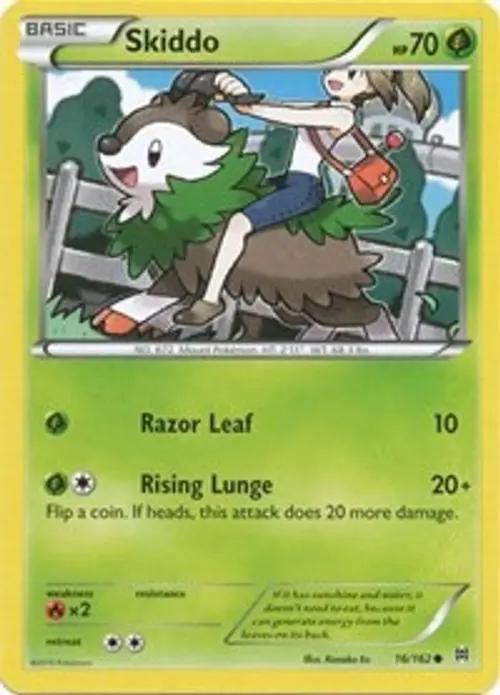 Skiddo card art