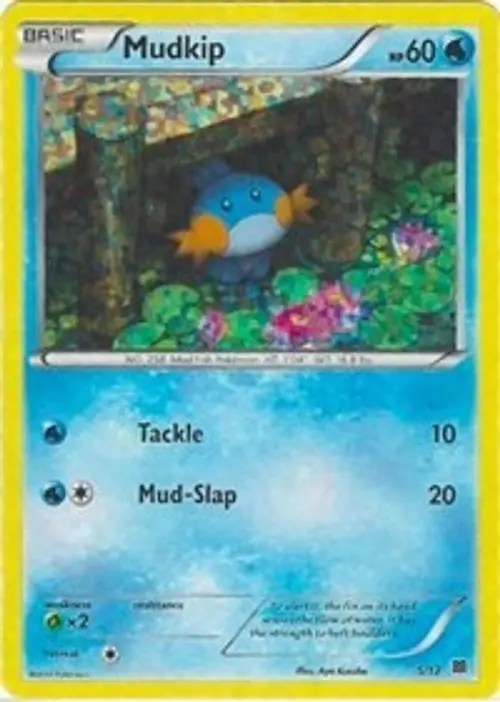 Mudkip - 5/12 card art