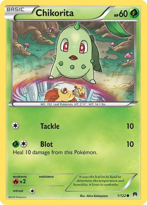 Chikorita card art