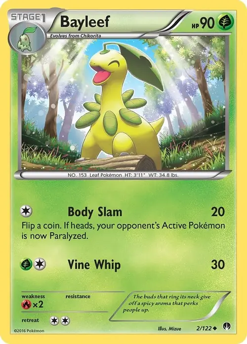 Bayleef card art