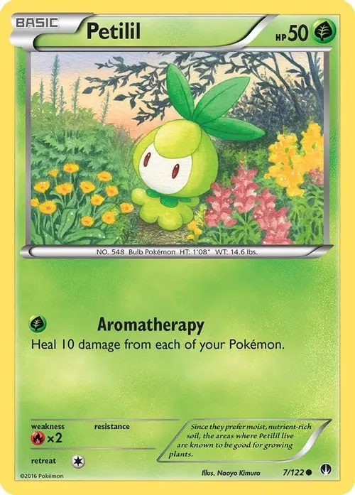 Petilil card art
