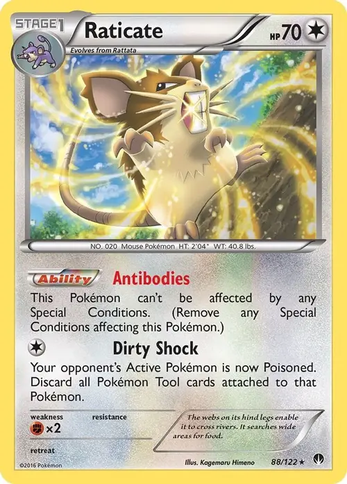 Raticate card art
