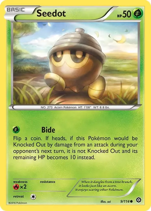 Seedot card art