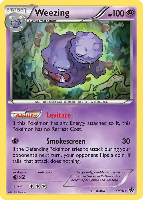 Weezing - XY163 card art
