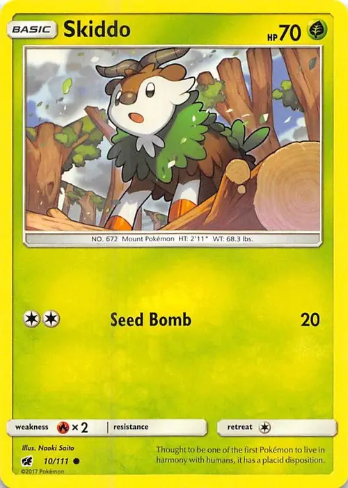 Skiddo card art