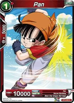 Pan card art