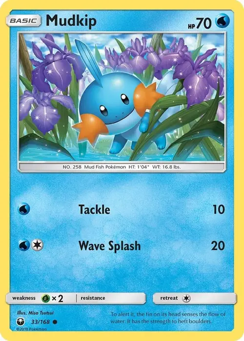Mudkip (33) card art