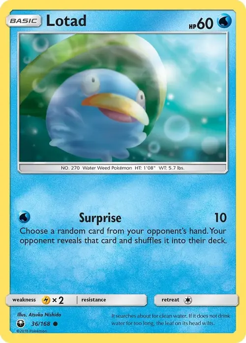 Lotad card art