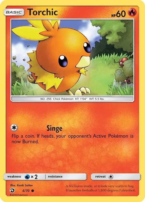 Torchic card art