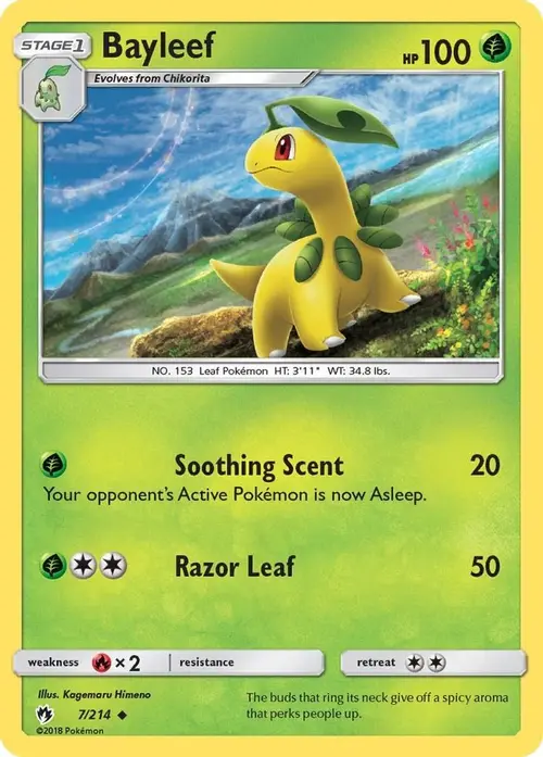 Bayleef card art
