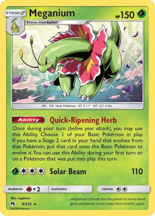 Meganium card art