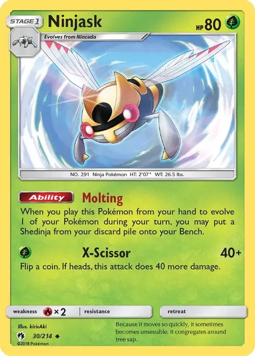 Ninjask card art