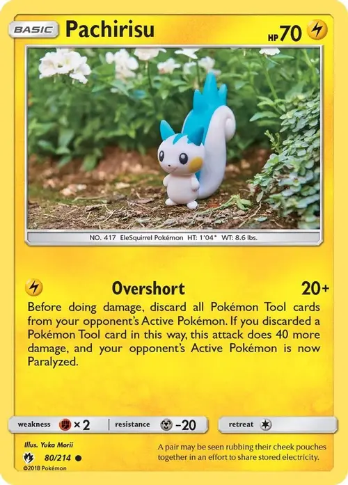 Pachirisu card art