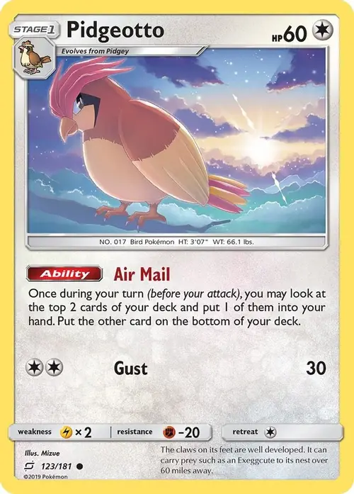 Pidgeotto card art