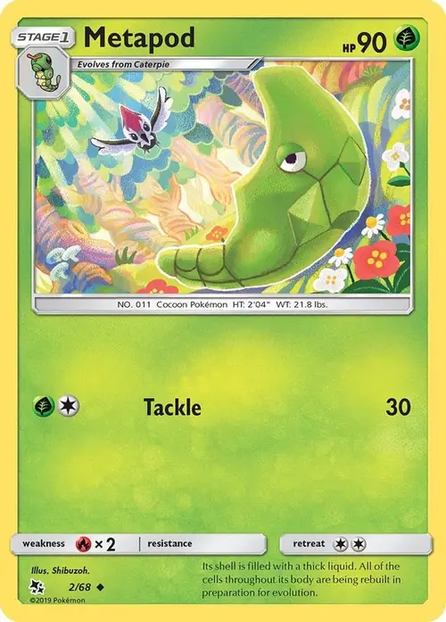 Metapod card art