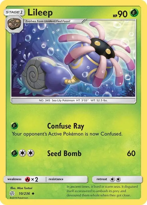 Lileep card art