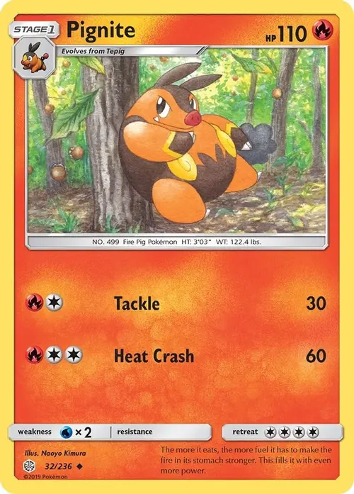 Pignite card art
