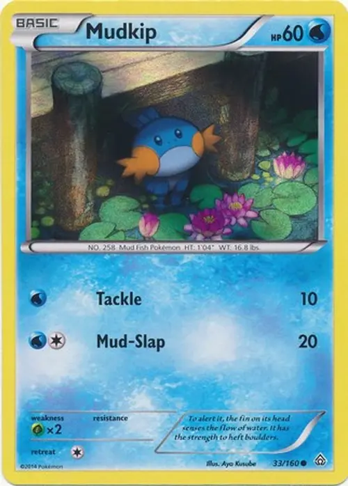 Mudkip - 33/160 (Sheen Holo) card art