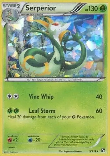 Serperior - 5/114 (Cracked Ice Holo) card art