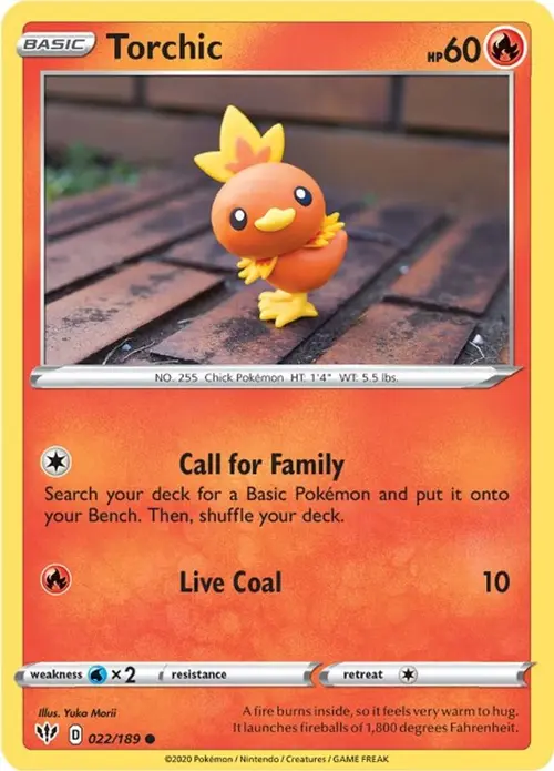 Torchic card art