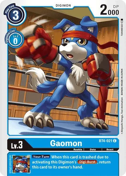 Gaomon card art