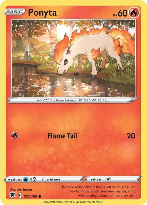 Ponyta card art