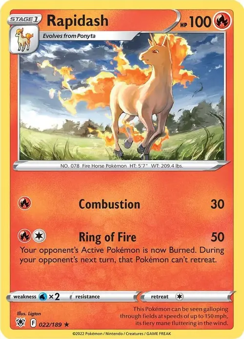 Rapidash card art