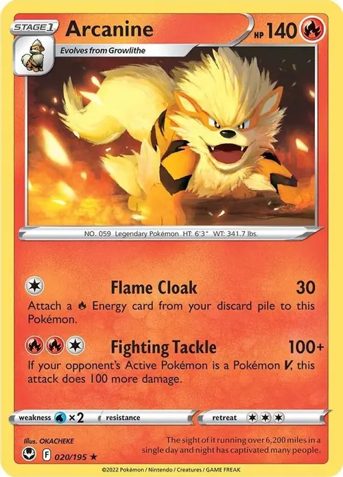 Arcanine card art