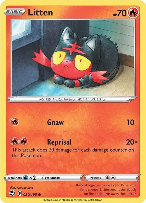 Litten card art