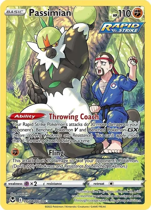 Passimian card art