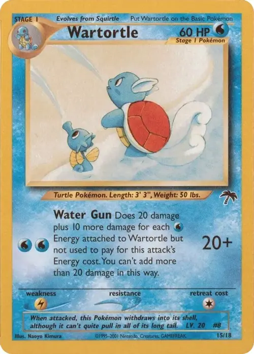 Wartortle card art
