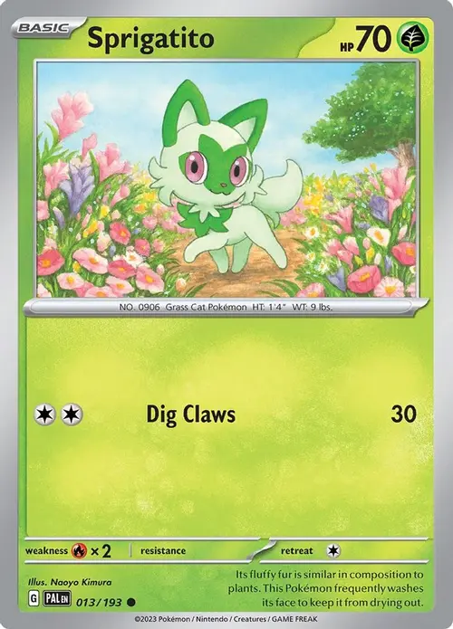 Sprigatito - 013/193 card art