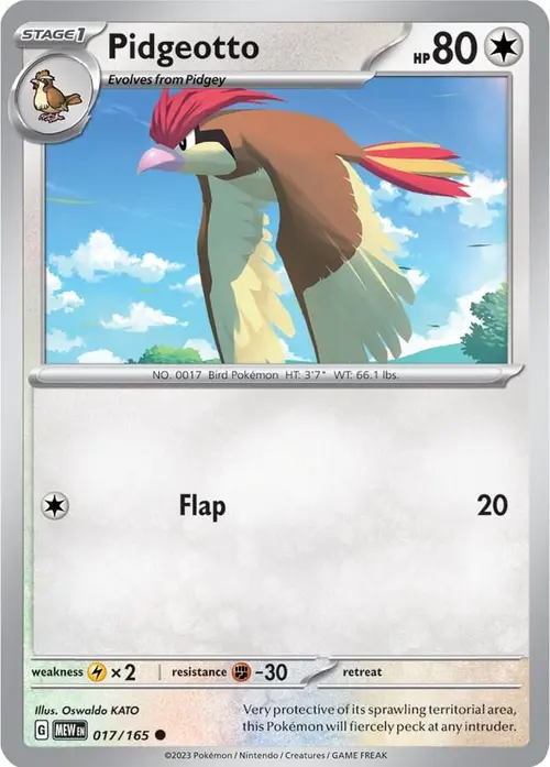 Pidgeotto card art