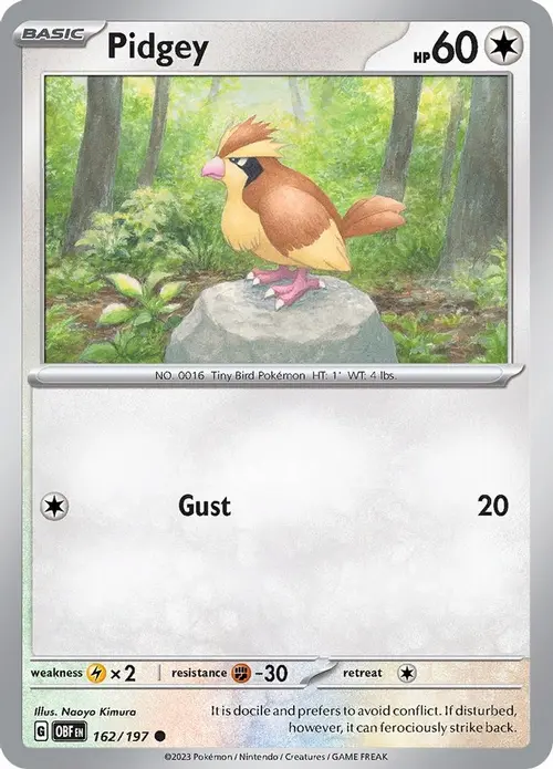 Pidgey card art