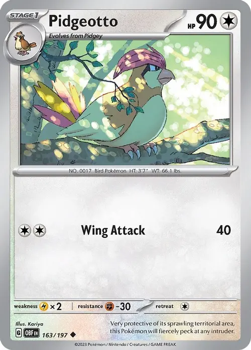 Pidgeotto card art
