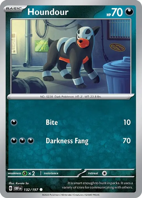 Houndour - 132/197 card art