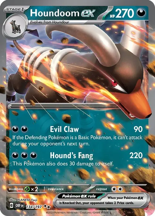 Houndoom ex card art