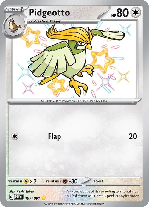 Pidgeotto card art