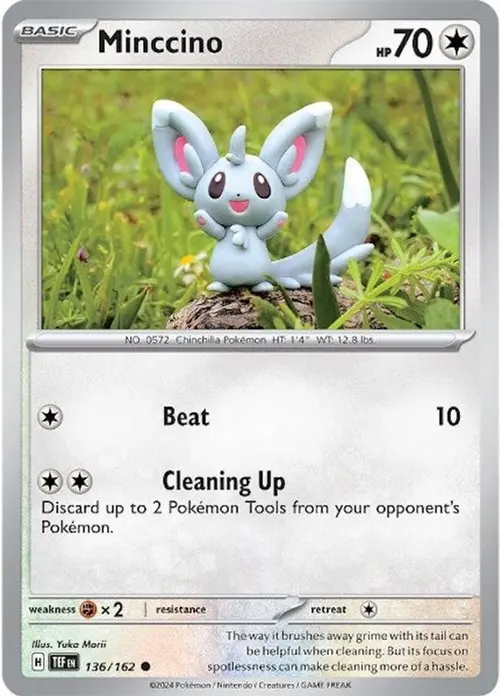 Minccino - 136/162 card art