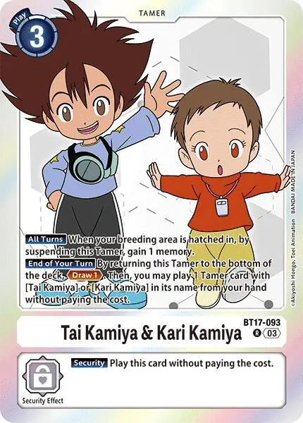 Tai Kamiya & Kari Kamiya card art