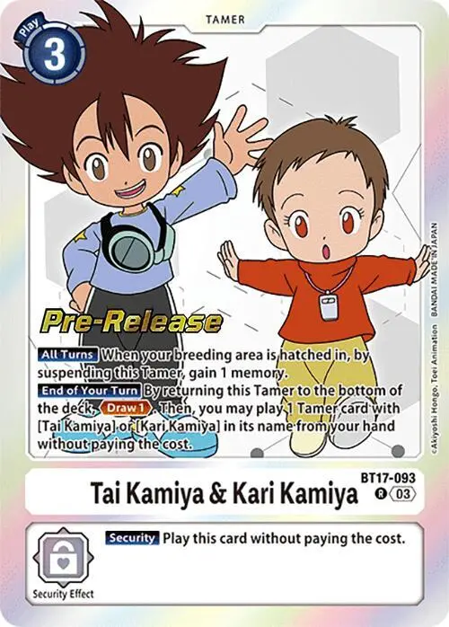 Tai Kamiya & Kari Kamiya card art