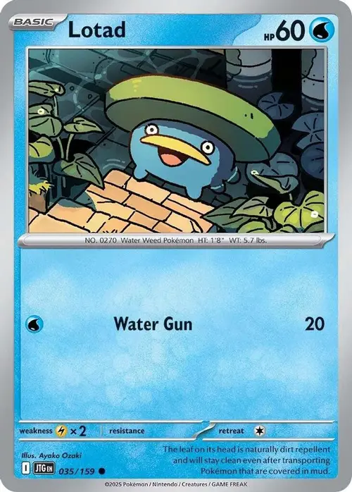 Lotad card art