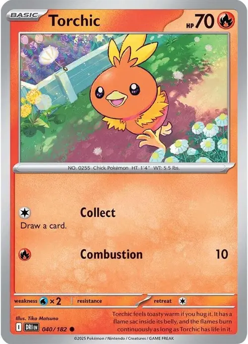 Torchic card art
