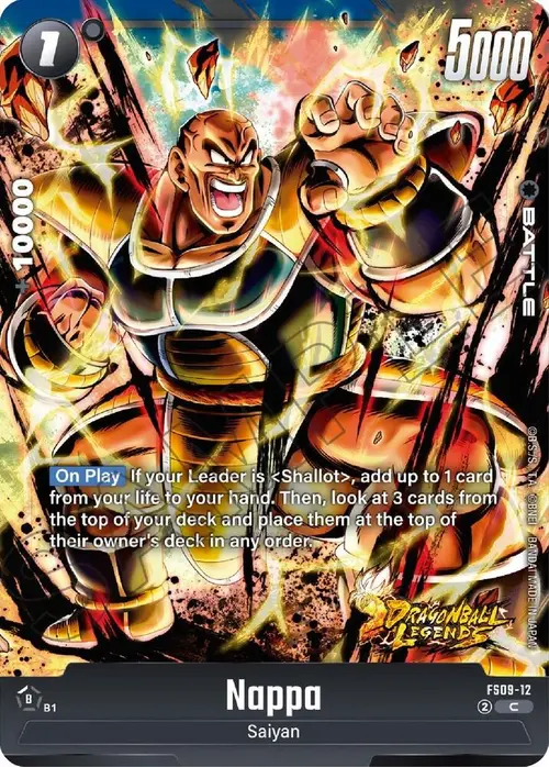Nappa card art