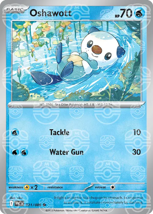 Oshawott (Master Ball Pattern) card art