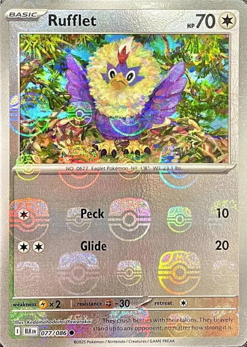Rufflet (Master Ball Pattern) card art