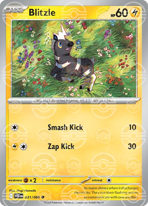 Blitzle (Poke Ball Pattern) card art