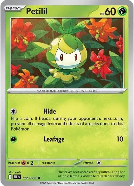 Petilil card art