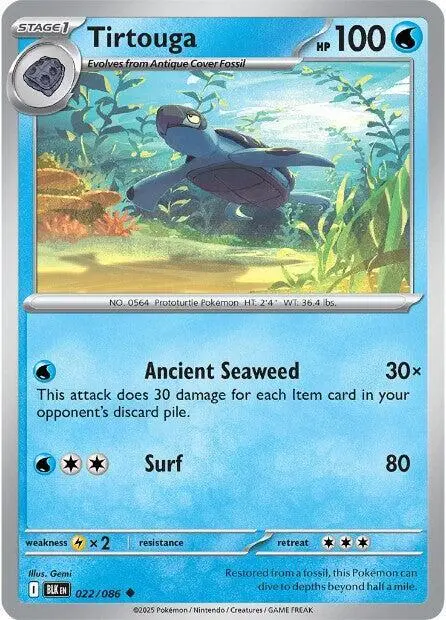 Tirtouga card art